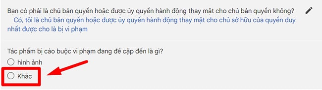 Loại tác phẩm bị cáo buộc vi phạm bản quyền